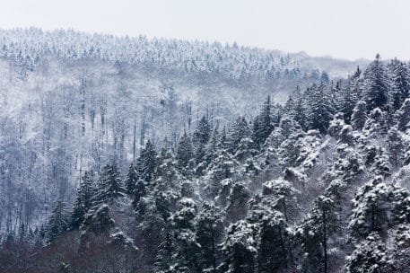 Winter op het hoogplateau - foto: Marijn Heuts