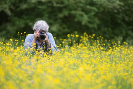 Paradijs voor fotografen - foto: Johan van de Watering