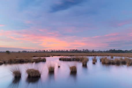 Ochtend bij het ven - foto: Johan van de Watering