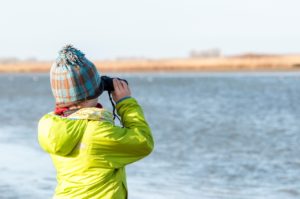 Vogels kijken - foto: Hans Capiau