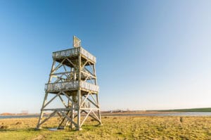 Vogelkijktoren - foto: Hans Capiau