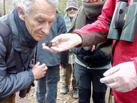 Wolvendrollen snuiven - foto: Jan Loos