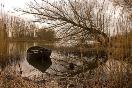 Sfeerplaatje - foto: Biesboschcentrum Dordrecht