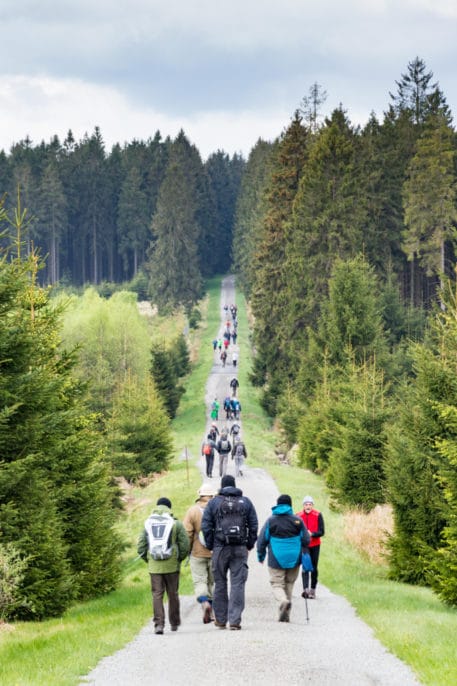 Wandelaars tijdens De Grote Oversteek - foto: Hans Capiau
