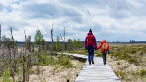 Wandelaars tijdens De Grote Oversteek - foto: Hans Capiau