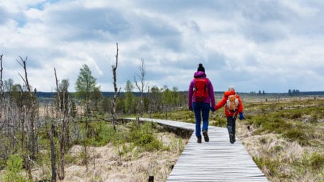 Wandelaars tijdens De Grote Oversteek - foto: Hans Capiau