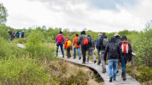 Wandelaars tijdens De Grote Oversteek - foto: Hans Capiau