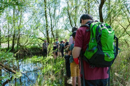 Expeditie Bever & Biesbosch - 1 mei - Afbeelding 10