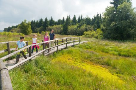 Wandelaars op plankenpad - foto: Dominik Ketz