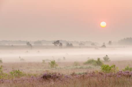 Ochtend in het veen - foto: Hans Debruyne