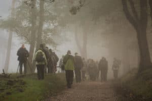 Vroeg in Deelerwoud - foto: Jan Depelseneer