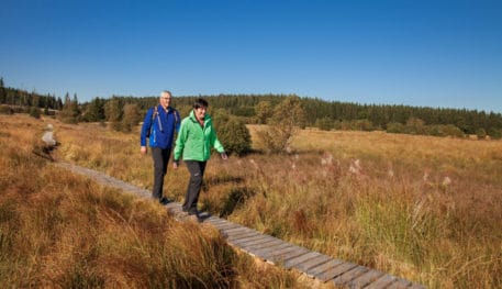 Wandelaars op plankenpad - foto: Eastbelgium