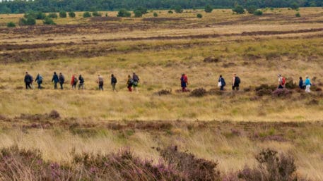 Hoog Buurlose Heide - foto: Jan Depelseneer