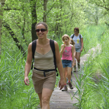 Wandelaars - foto: Eddy Vervynck