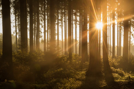 Zonsopgang - foto: Sandy Spaenhoven