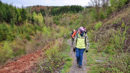 Fotosafari 'Herfst in de Ardennen' - 20 tot 22 oktober 2023 - Afbeelding 18