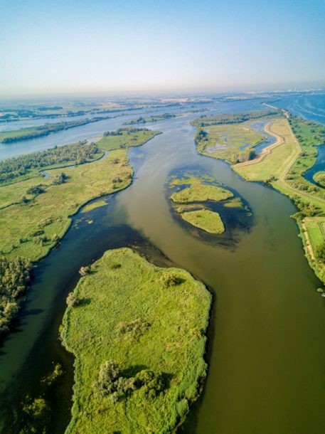 De Biesbosch - foto: Niels van Tongerloo