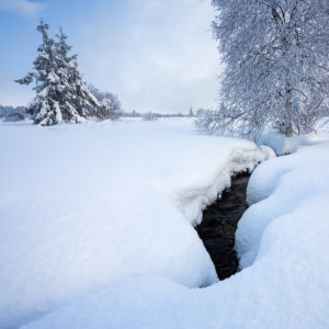 Winter - foto: Marijn Heuts