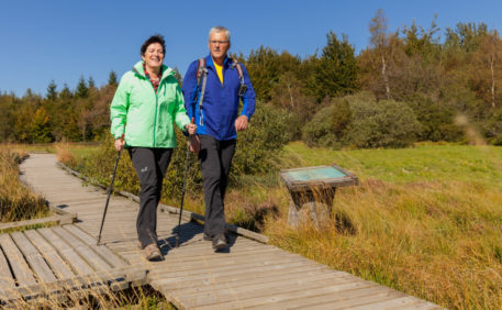 Wandelaars op plankenpad - foto: Eastbelgium