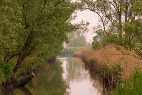 Kreek - foto: Jan Depelseneer