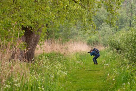 Lekker fotograferen - foto: Jan Depelseneer