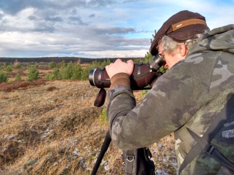 In het spoor van de wolf op de Lübtheener Heide - foto: Jan Loos