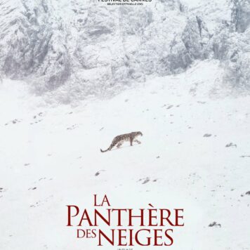 La Panthère des Neiges