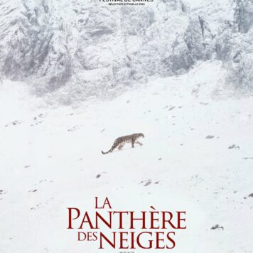 La Panthère des Neiges