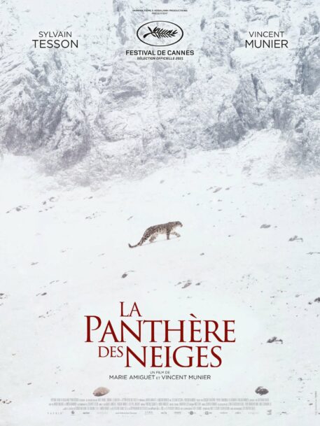 La Panthère des Neiges