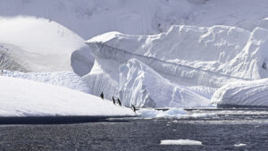 Expeditie Antarctica - foto: Jos Joosen