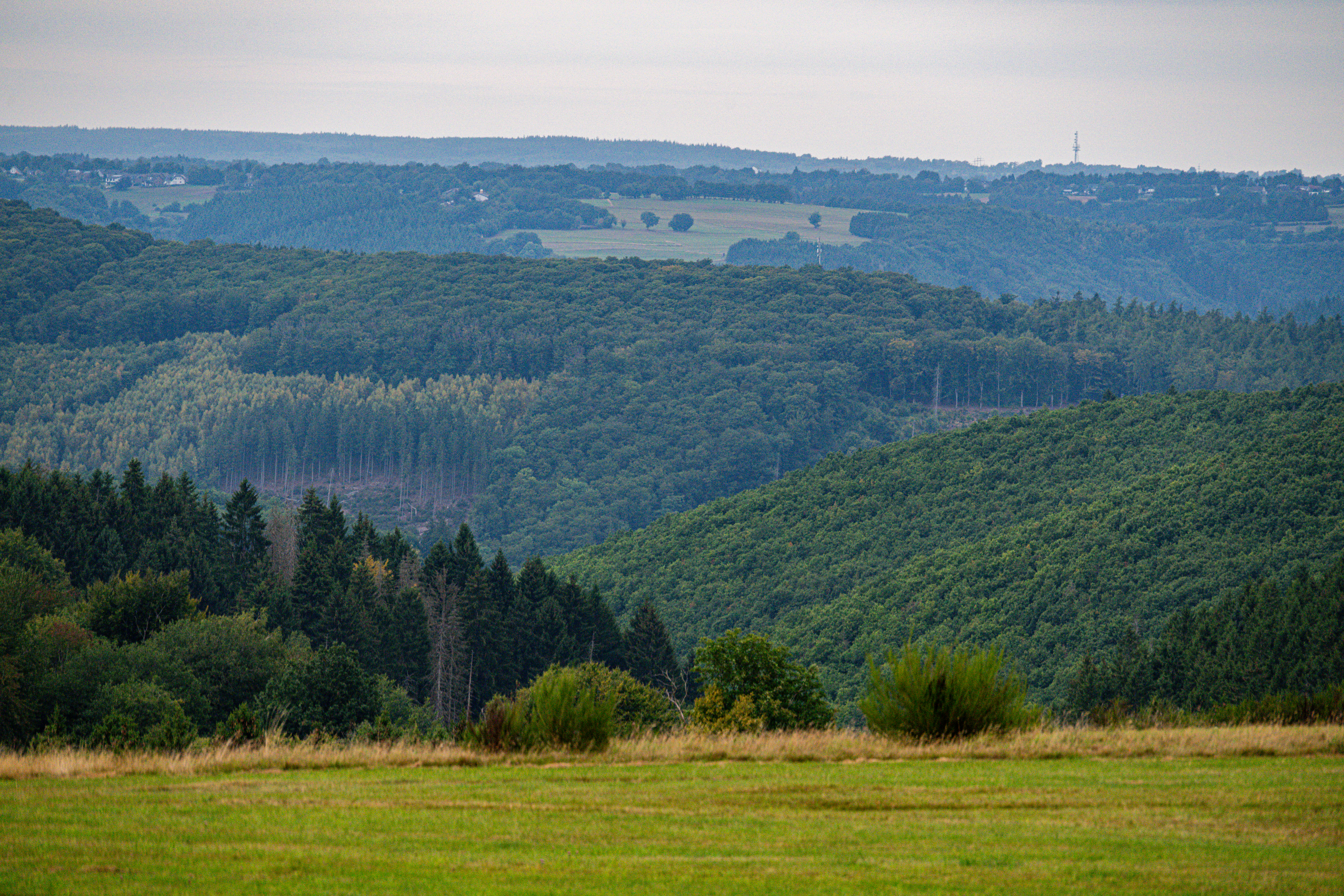 Panorama - foto: Katrien Quartier