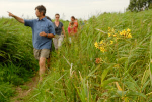 Ontdek dit unieke wandelgebied - foto: Erik Malfait