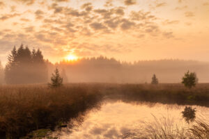 Mystiek ven - foto: Sandy Spaenhoven