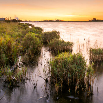 Braakmankreek in ochtendlicht - foto: Hans Debruyne