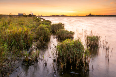 Braakmankreek in ochtendlicht - foto: Hans Debruyne