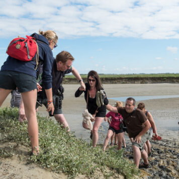 Oversteek - foto: Sandy Spaenhoven