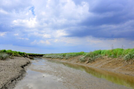 Foto: Alexander Narraina