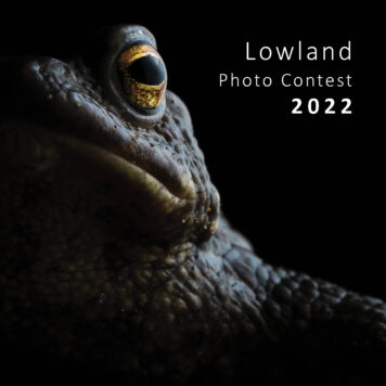 Brochure Lowland Photo Contest 2022