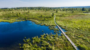 Brackvenn - foto: Rafael Classen