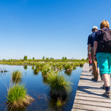 Plankenpad - foto: Rafael Classen