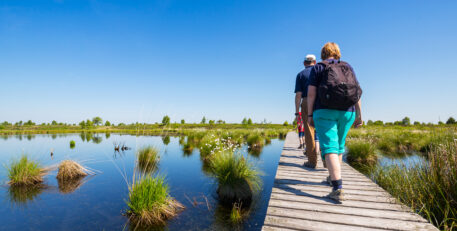 Plankenpad - foto: Rafael Classen