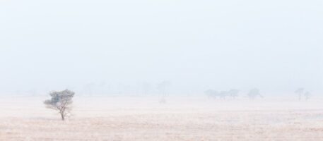 Foto: Johan van de Watering