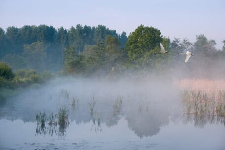 Foto: Koen Delanghe