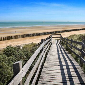 Haasje-over met de duinen - foto: Shutterstock