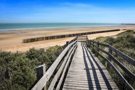 Haasje-over met de duinen - foto: Shutterstock