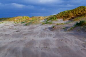 Uitwaaien in de duinen - foto: Sam Mannaerts