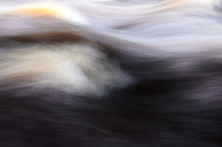 Abstract uit het veen - foto: Hans Debruyne