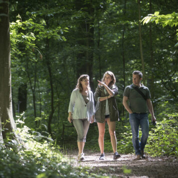 Foto: Toerisme Oost-Vlaanderen