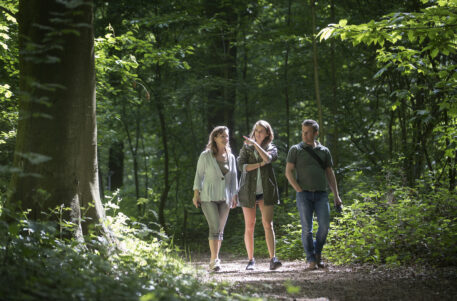 Foto: Toerisme Oost-Vlaanderen