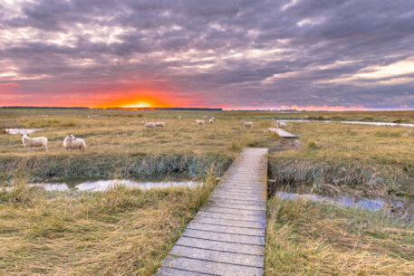 Foto: Rudmer Zwerver